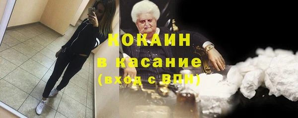 сатива Балахна