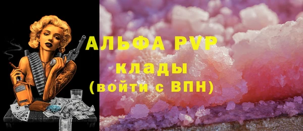 эйфоретик Аркадак
