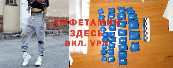 сатива Балахна