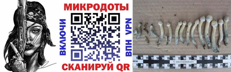 гидра как зайти  Пыталово  Галлюциногенные грибы мухоморы  купить  