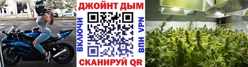 Конопля SATIVA & INDICA Пыталово
